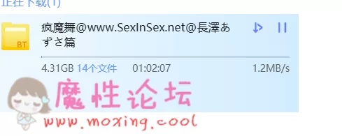 QQ图片20190515111632.png