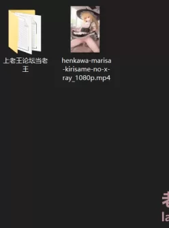 [自行打包] Henkawa的新作Marisa(东方里的魔理沙)1币 [V1+121.89M][百度盘]