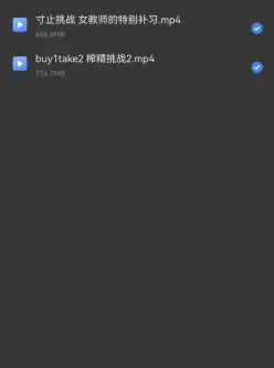 [转载搬运] 寸止合集 [48v+40g][磁力链接]